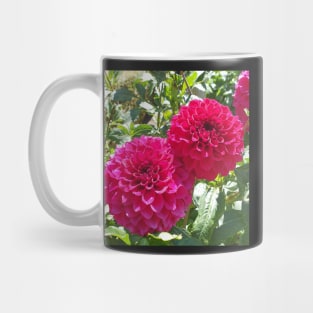 Hot Pink Dahlias Mug